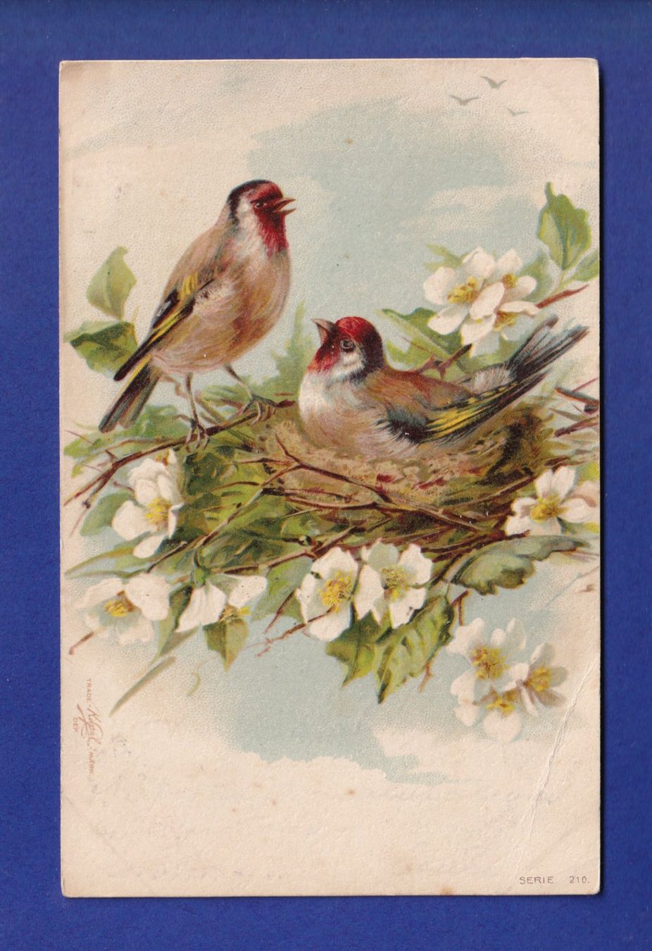 Cartoline postali: OISEAU // pli // – Usato da Pully venduto da nicecards-shop