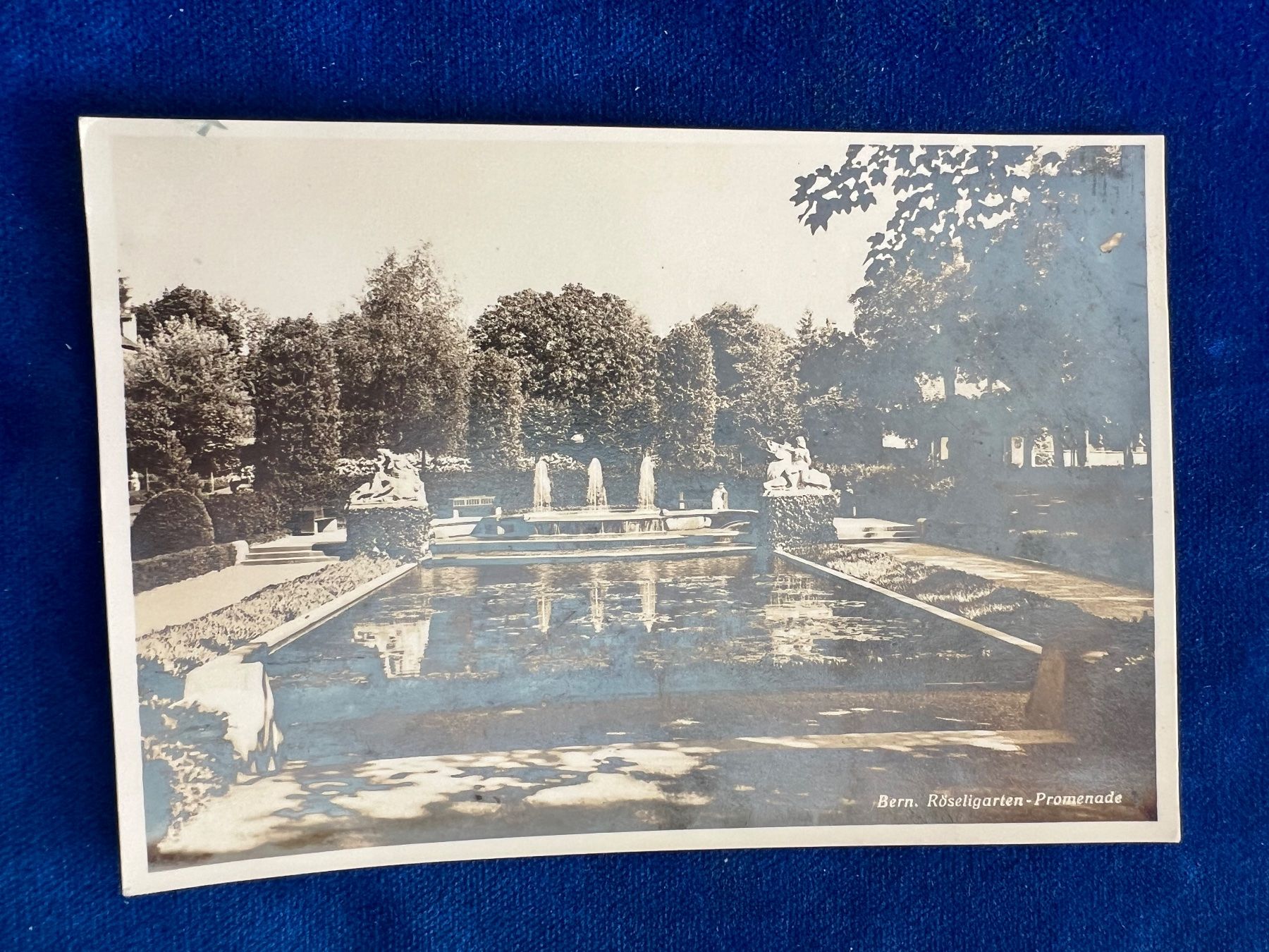 Cartoline postali: Alte Ansichtskarte Bern Rosengarten-Promenade 1919 handge... – Usato da Hermetschwil-Staffeln venduto da militaria-schweiz