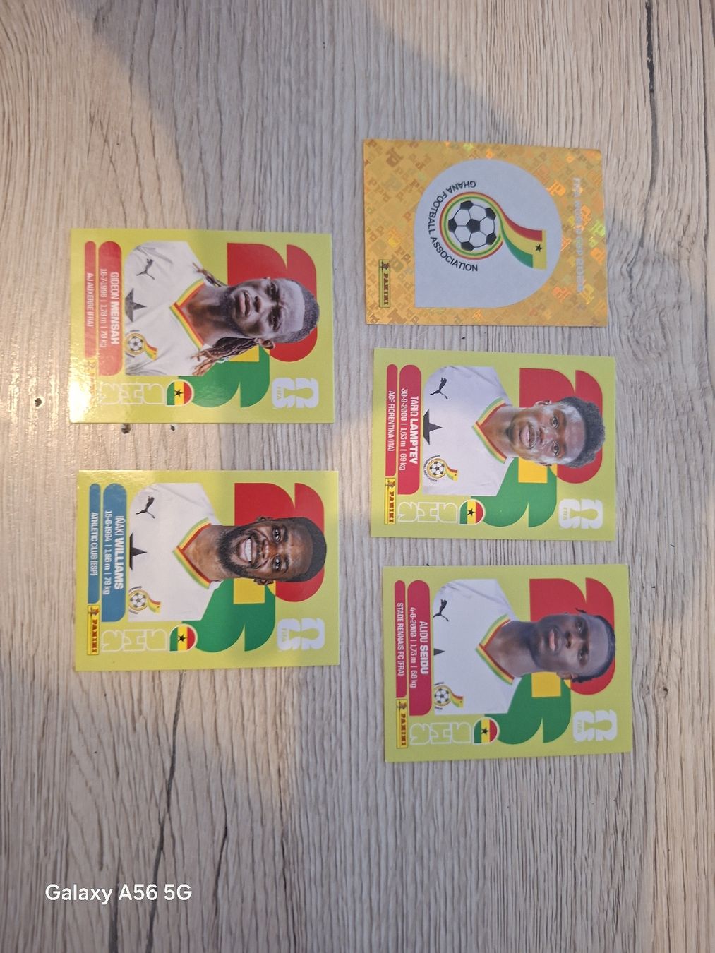 Panini Carte collezionabili: panini gha – Nuovo e nell'imballaggio originale da Vionnaz venduto da NMNB 1