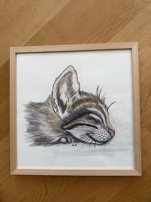 Dipinti: Schönes Bild / Gemälde einer Katze - mit Rahmen – Usato da Bern venduto da nsigner