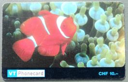 Taxcard - Clown Fisch - CH