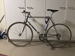 Tigra city bike size 58. Rear tire is popped. Can exchange 