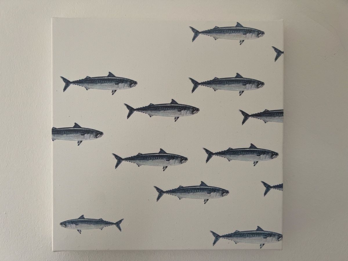 Foto & Immagini: Fisch-Bild, Leinwand, 3 Teile, 25x25cm – Usato da Frick venduto da clembou 1