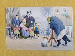 Ansichtskarte Katzen Künzli Zürich