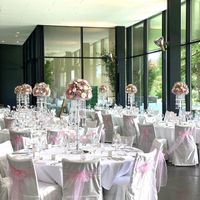 50 Stück Stuhlschleifen hellrosa Organza
