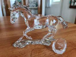 Swarovski Figur SCS Esperanza Stute Originalverpackt 