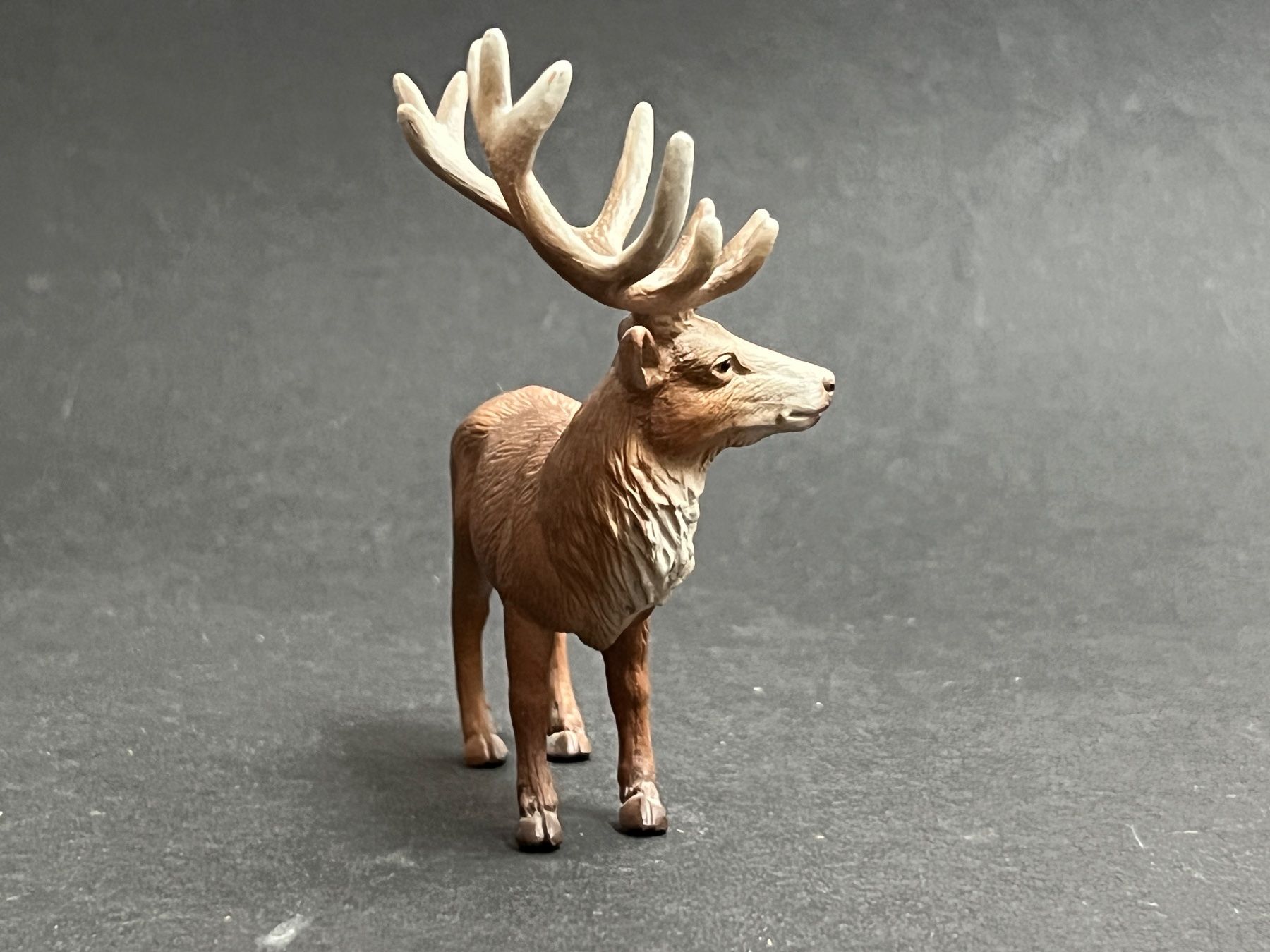 Schleich Statuette: Schleich Rothirsch Hirsch Kuh – Usato da Ennetbaden venduto da mapa05 4