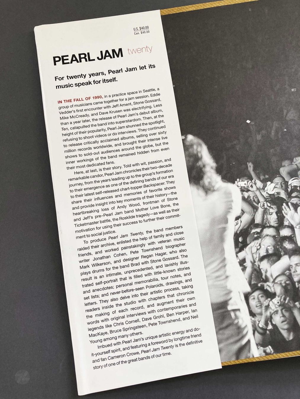 Dischi in vinile: Pearl Jam Twenty Buch Hardcover Englisch – Usato da Wetzikon ZH venduto da cyan74 1