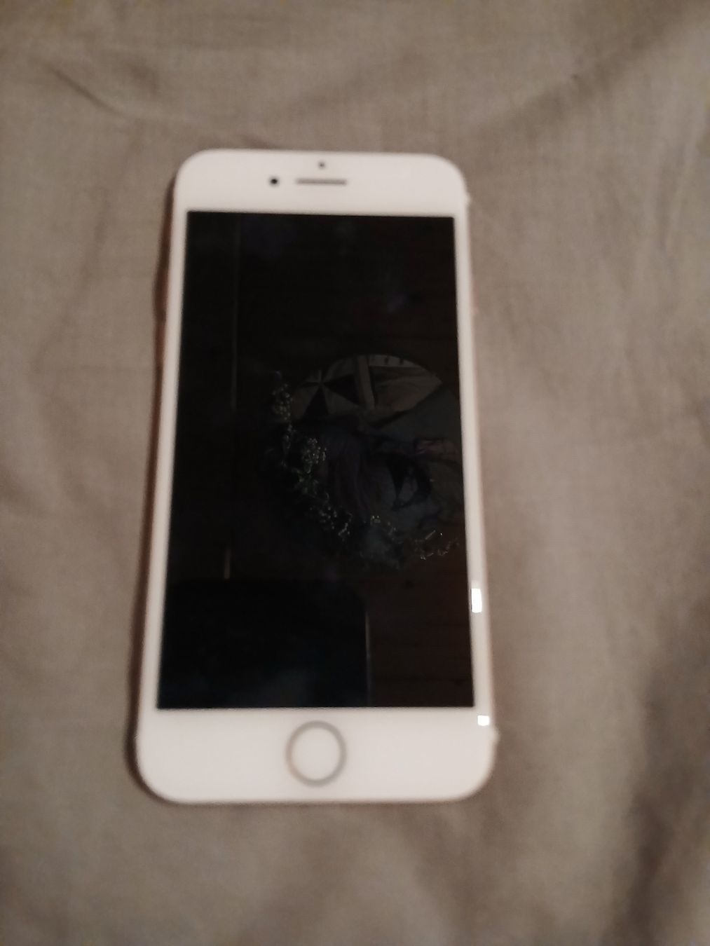 Apple Telefoni cellulari / Smartphones: Iphone 7 – Usato da Reisiswil venduto da jae_2hcp 1