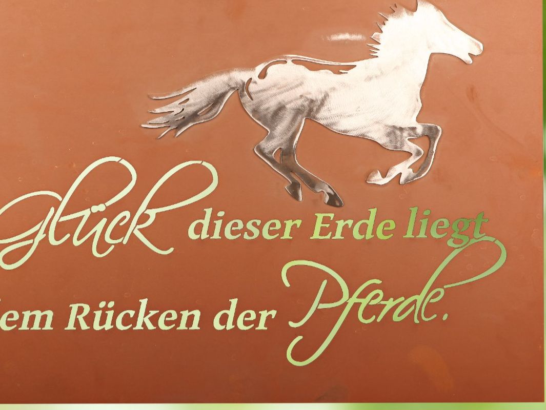 Poster & Bilder: Pferdespruch in Edelrost – Neu (gemäss Beschreibung) aus Gerlafingen von ofenhaus_linder 1