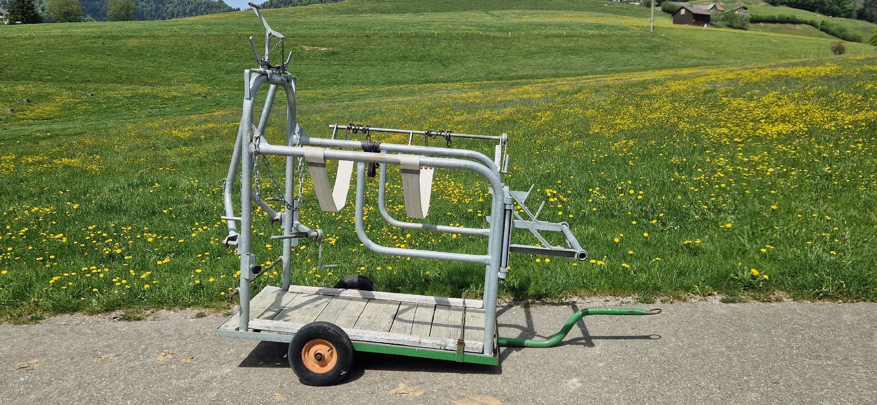 Tutte le macchine: Klauenpflegestand – Usato da Ricken SG venduto da Tonl 4