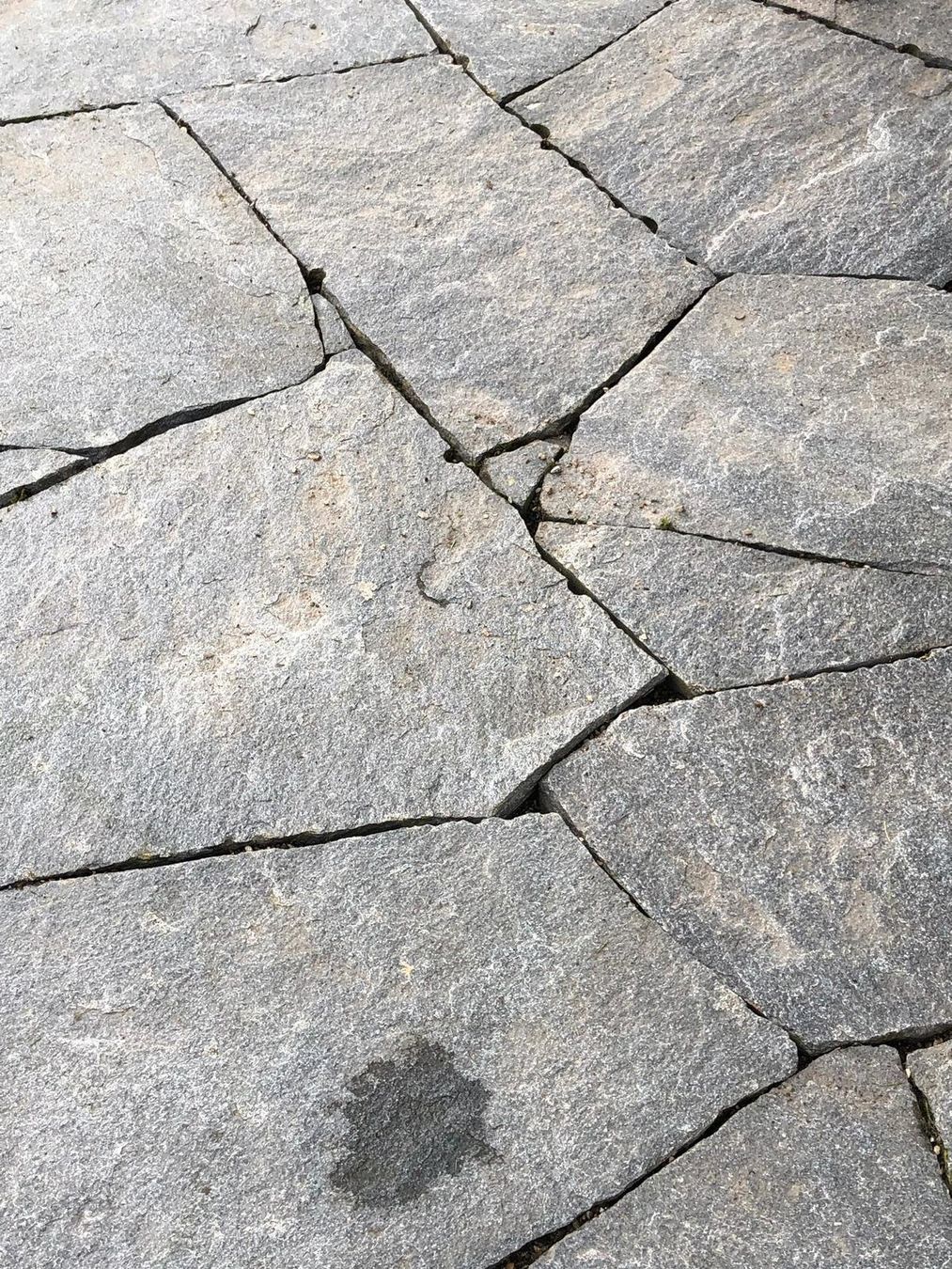 Pietre & tegole: Quarzit Polygonalplatten-Garten-Terrassenplatten 2-3cm/30m2 – Nuovo e nell'imballaggio originale da Olten venduto da jf7_gkj6 7