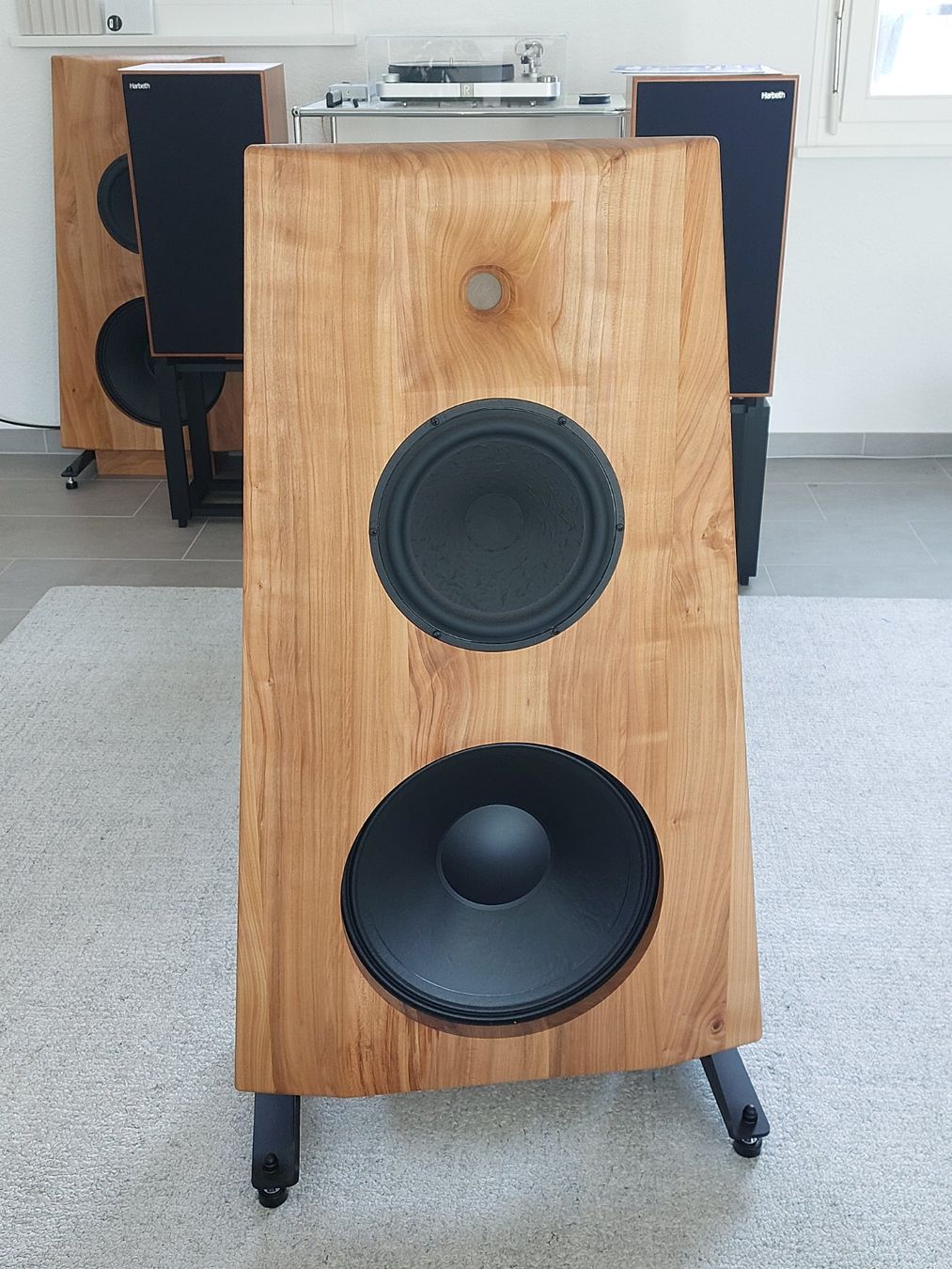 Casse acustiche: Open Baffle Joseph Crowe 1635 – Usato da Vaulruz venduto da Finale_Audio 1