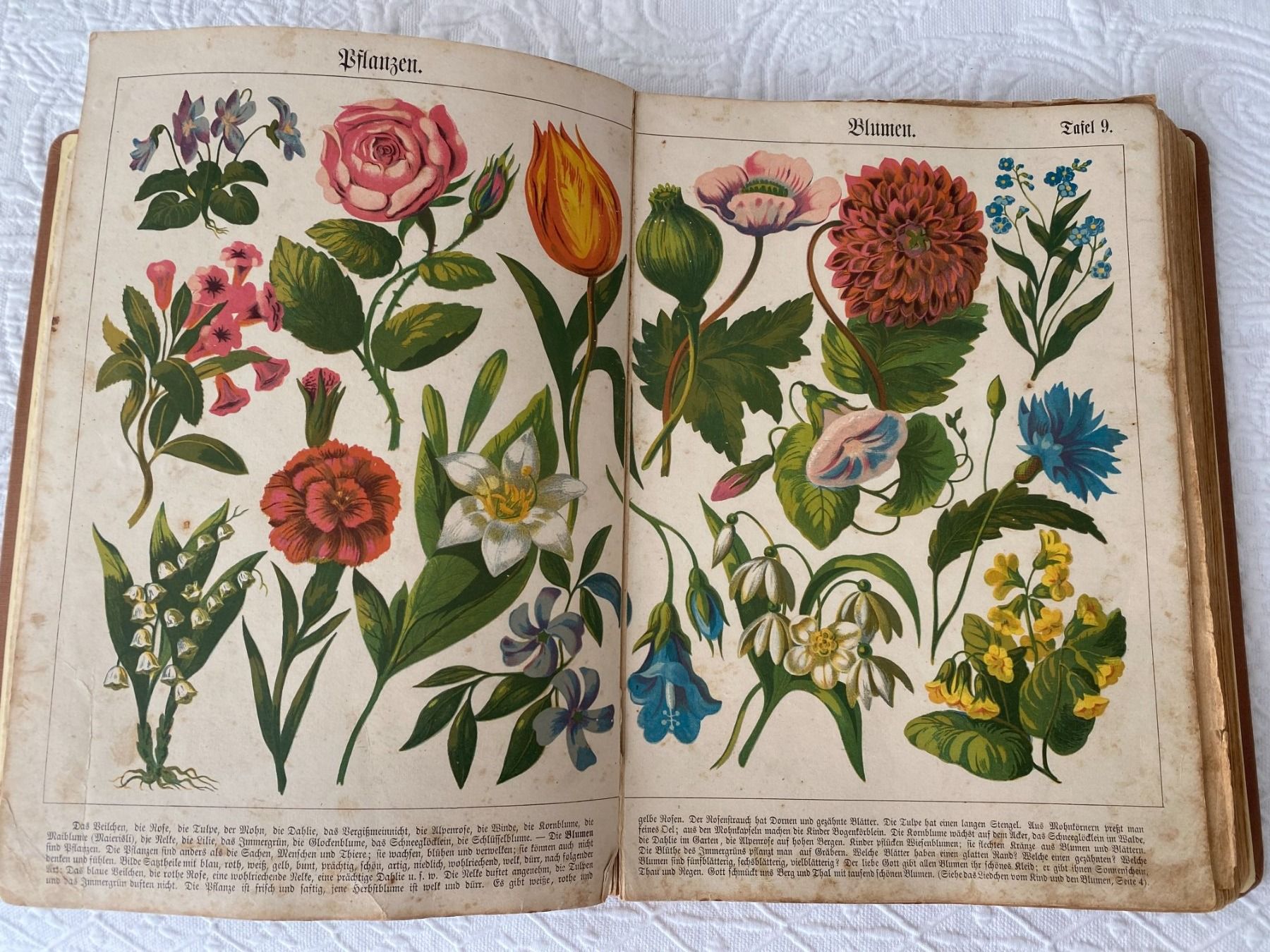 Libri: Antikes Kinderbuch "J. Staub's Bilderbuch" – Usato da Unterterzen venduto da bac_287t 5