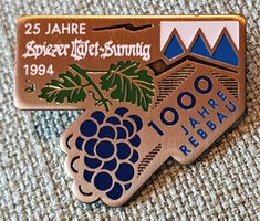 D179  Pin Spiez Spiezer Läset Sunntig 94