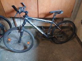 Wheller Velo 