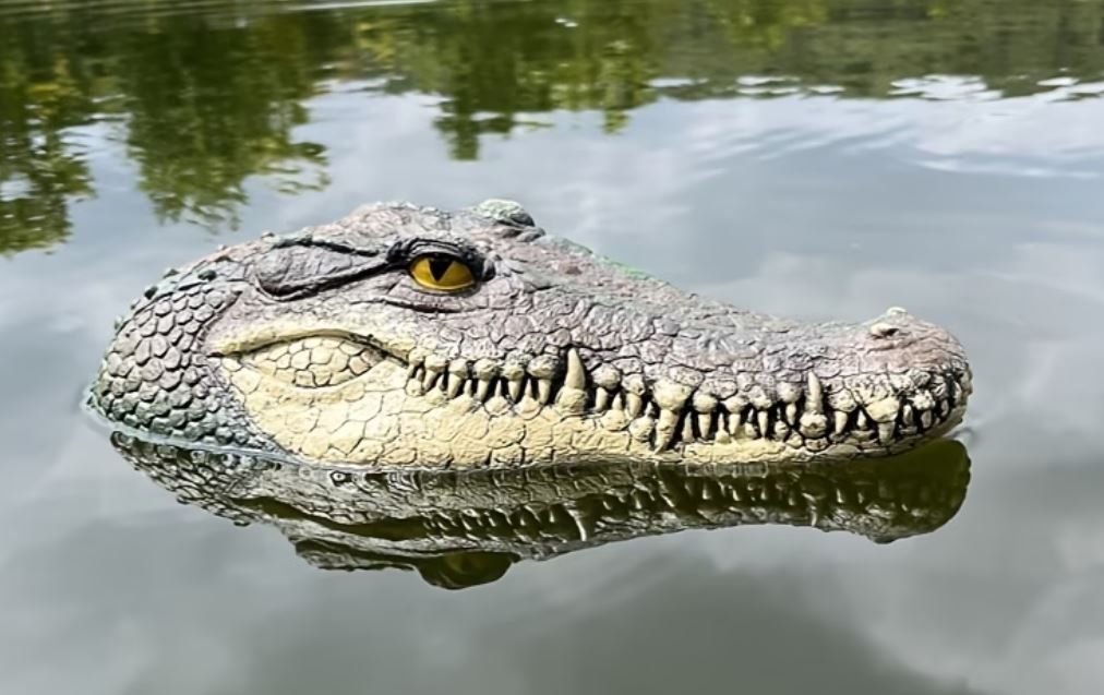 Statuette: Teich Krokodil Kopf (31 cm) – Nuovo e nell'imballaggio originale da Langenbruck venduto da Gumsi