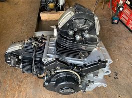 900-er Ducati Motor / Zahnriemen  Desmo