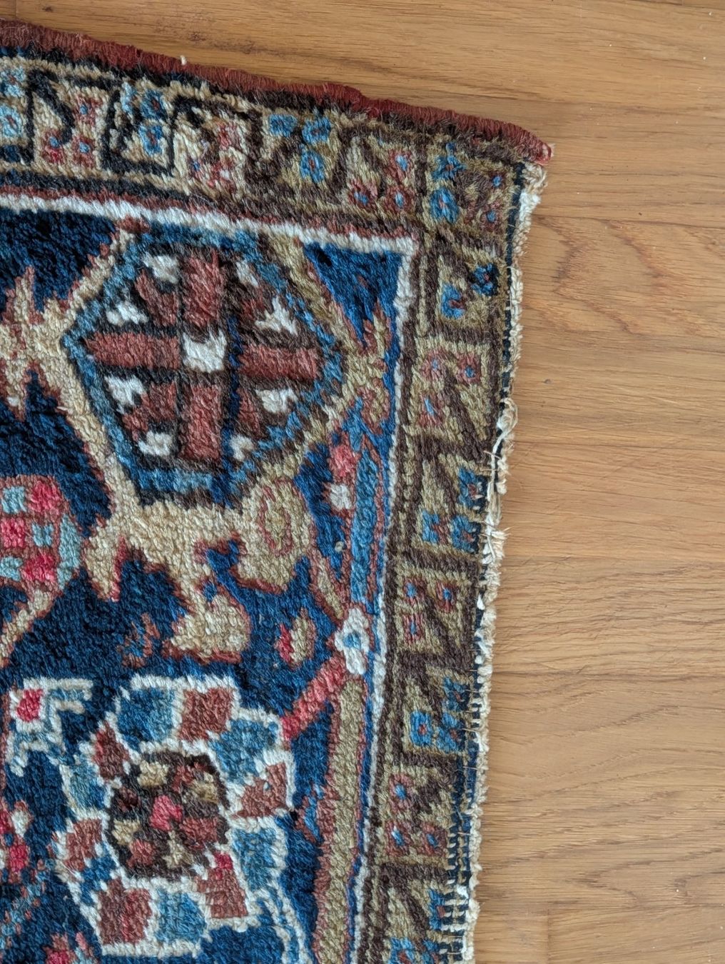 Teppiche: Teppich – Gebraucht aus Bern von habia01 1
