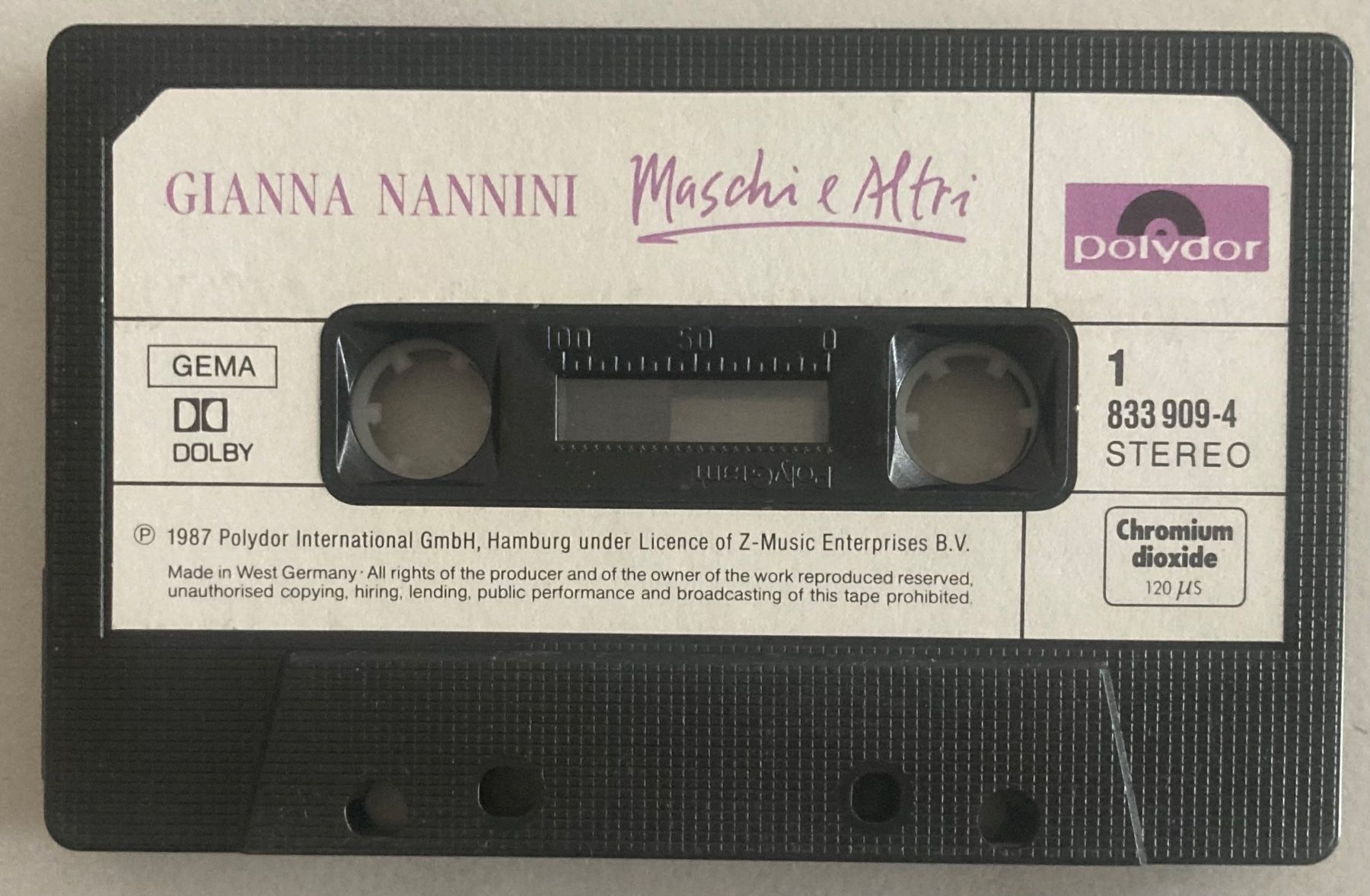 Cassettes audio: GIANNA NANNINI - MASCHI E  ALTRI – D'occasion à Poliez-Pittet par Newtown-Records 2