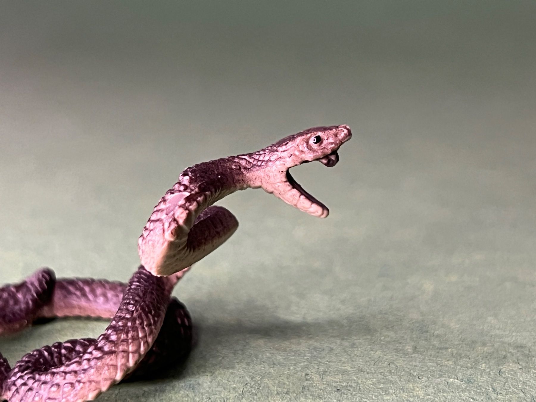 Schleich Statuette: Schleich Mamba Schlange – Usato da Ennetbaden venduto da mapa05 1