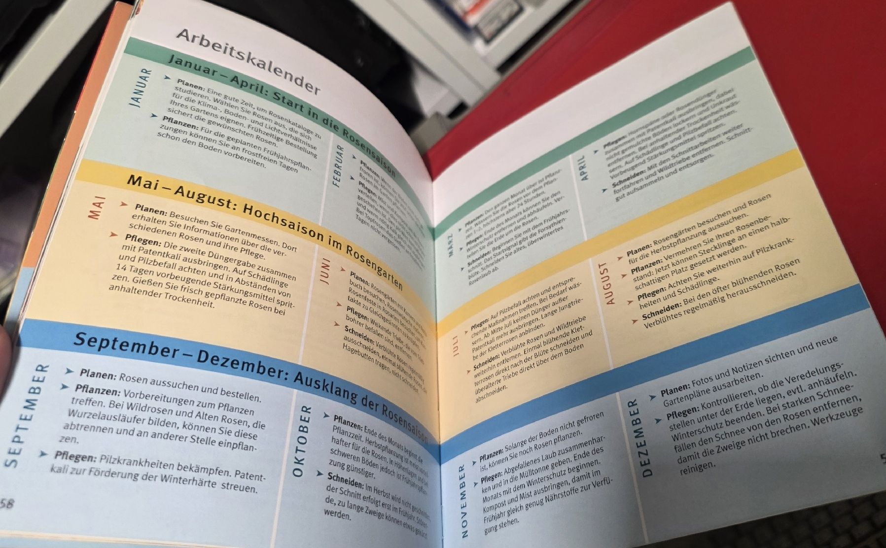 Bücher: Rosen - schnell & einfach - GU (BUCH) – Gebraucht aus Reinach BL von _MasterK_ 2