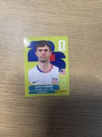 Panini FIFA WC USA 16
