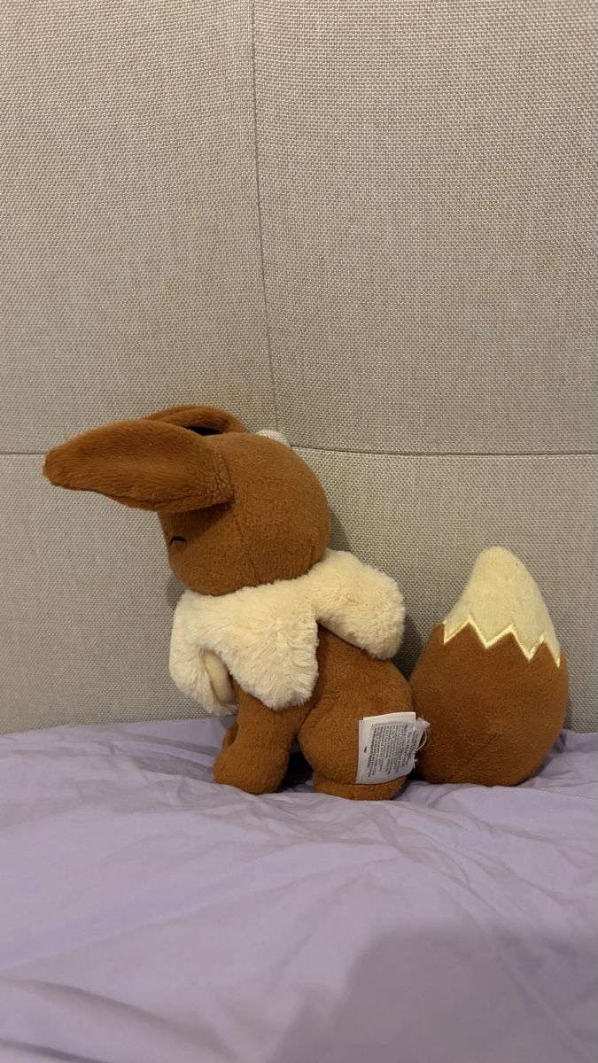 Pokémon Figuren: Pokemon Evoli Plueschtier – Gebraucht aus Neuhausen von ste_7b6n 1