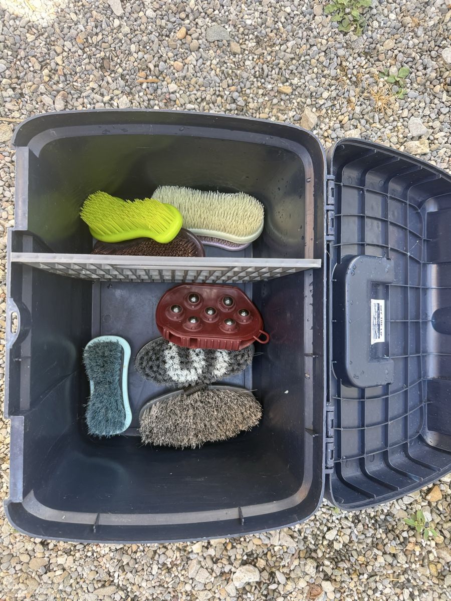Casse di trasporto: Putzbox Showmaster mit Zubehör – Usato da Knonau venduto da jvll