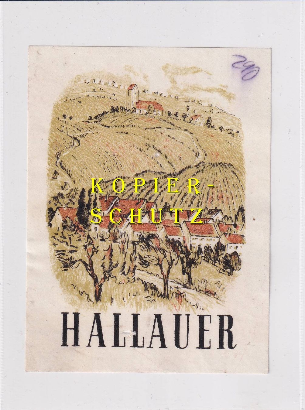 Carta: Etikette - Hallauer /bd – Usato da Hombrechtikon venduto da Rudolf07