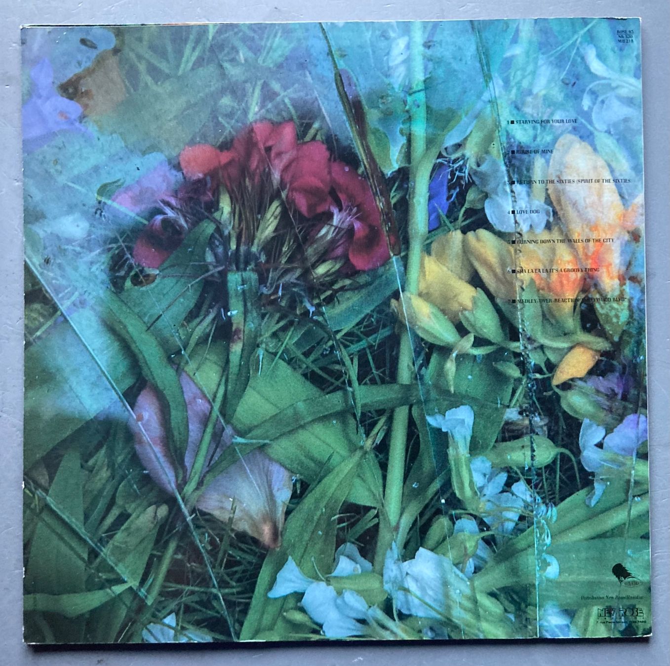 Dischi in vinile: SKY SUNLIGHT SAXON / FIRE WALL - A GROOVY THING – Usato da Poliez-Pittet venduto da Newtown-Records 1