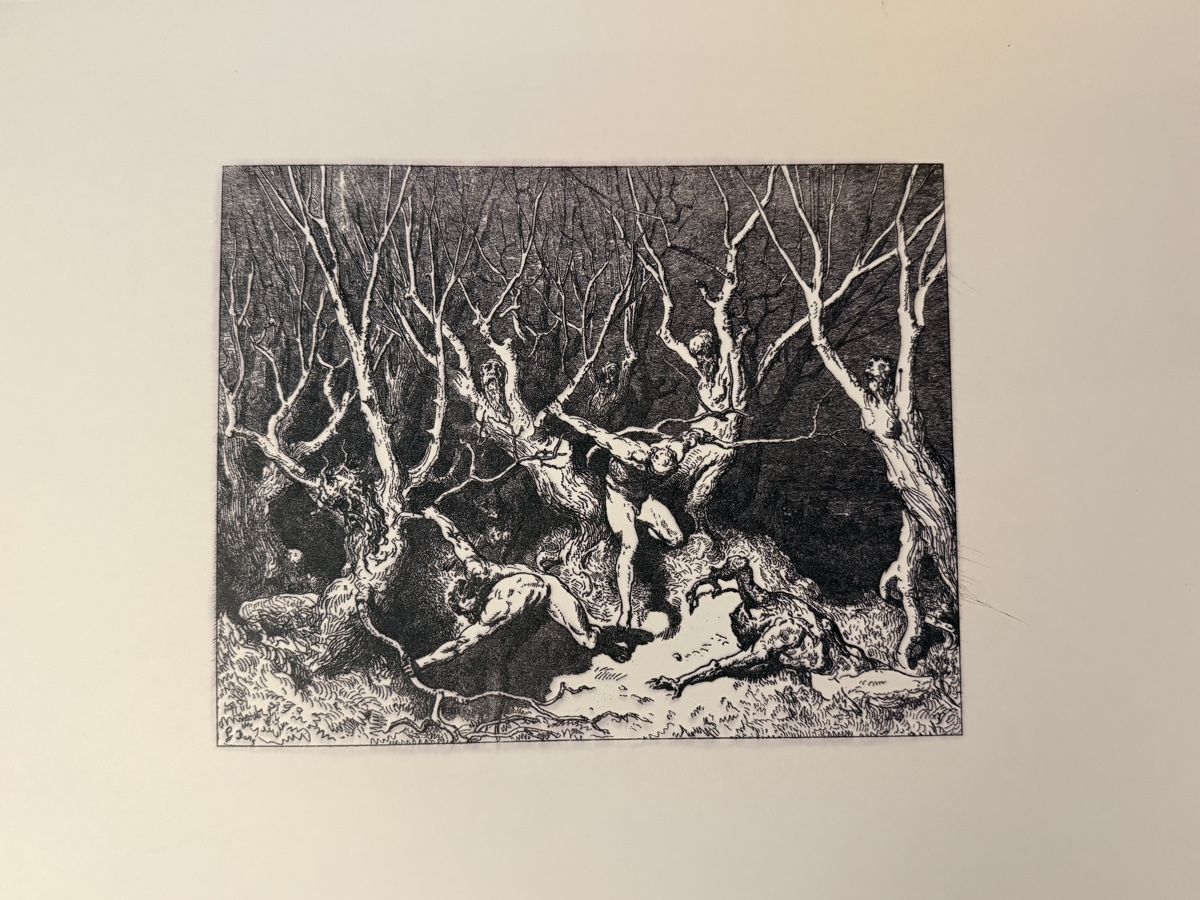 Grafica & Litografie: Lithographie - Gustave Doré – Usato da Solothurn venduto da NUVICO 1
