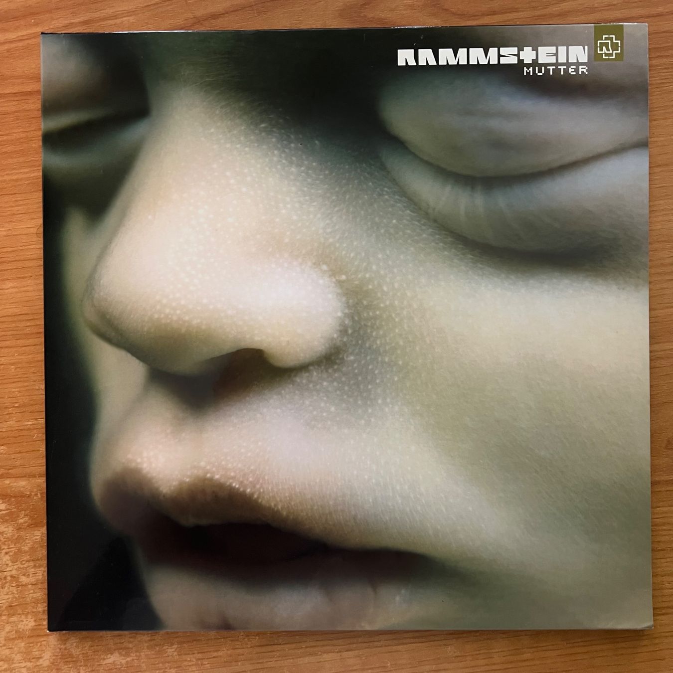 Vinyles: Rammstein - Mutter / 1. EU-Press. 2001 - TOP condition – D'occasion à Gais par soundcave57