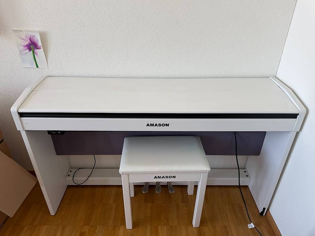 Strumenti musicali: Amason Digitalpiano – Usato da Zürich venduto da kss_p7zb 2