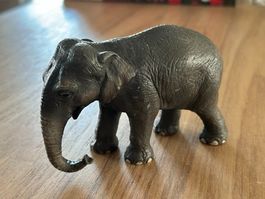 Safari Ltd. Erwachsener Indisch Elefant Sammelfigur