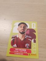 Panini WM 2026 QAT 8 