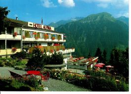 Hotel Alpina Braunwald