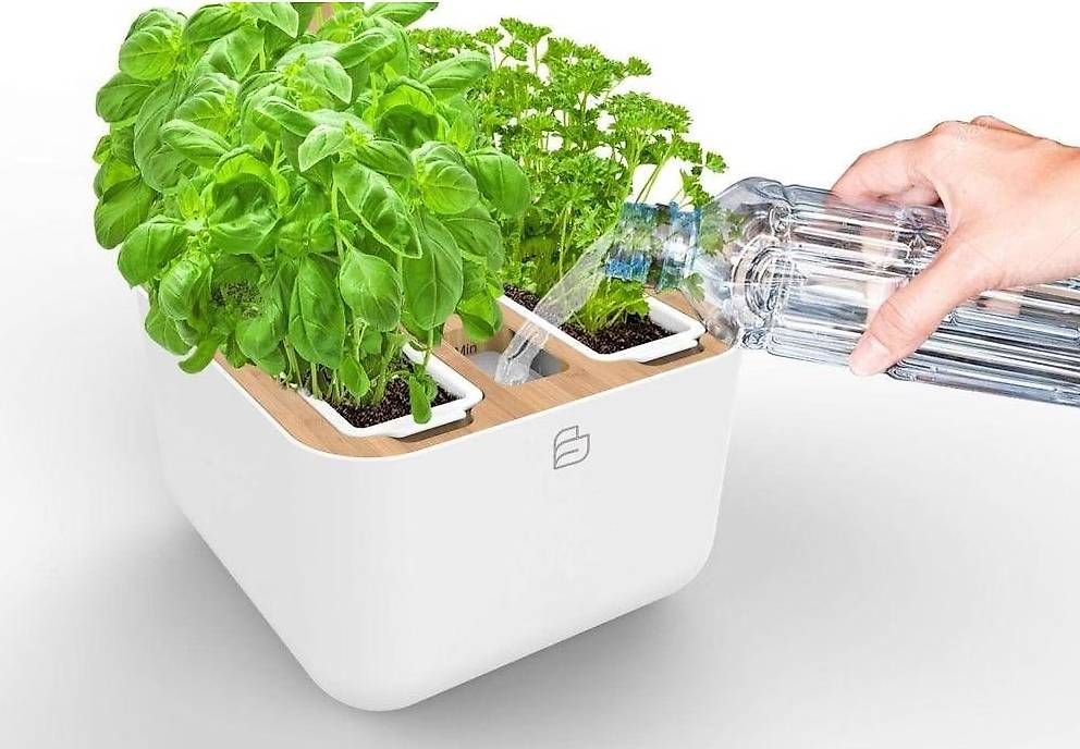Autres: Véritable Botaneo Eylo - potager de cuisine – D'occasion à Bottens par sundea 3