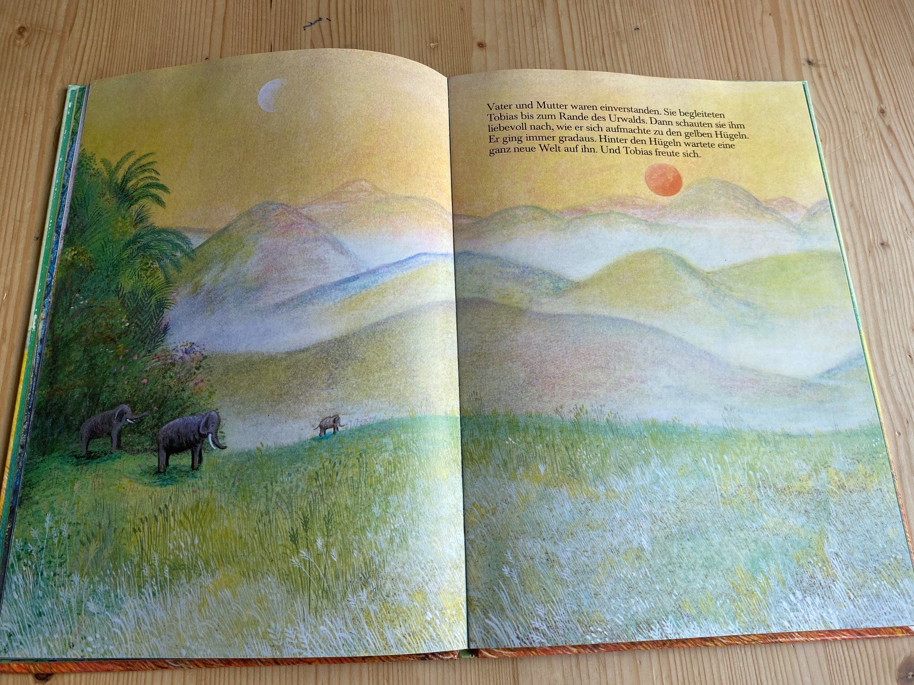 Libri: Bernadette: Ein Elefant mit Haaren; neuwertig! – Nuovo (secondo la descrizione) da Weinfelden venduto da Cheyenne21 5