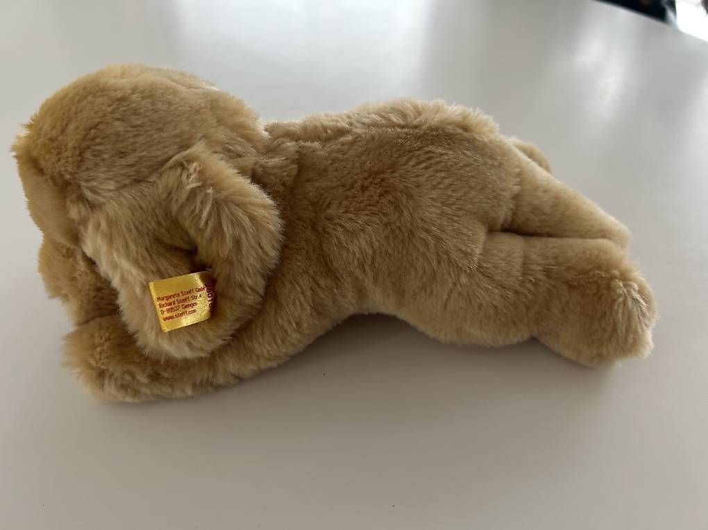 Giocattoli: Peluche labrador chien Steiff – Usato da Pully venduto da Geraldine10 1