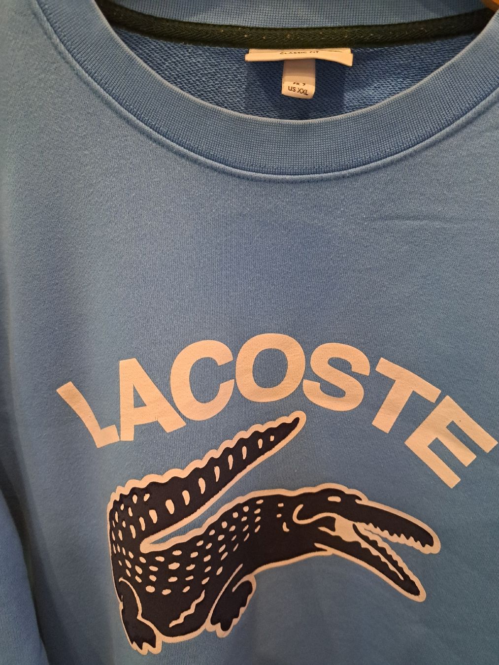 Lacoste Maglioni & Felpe: Lacoste Sweatshirt hellblau XL – Usato da bazenheid venduto da salerno007 1