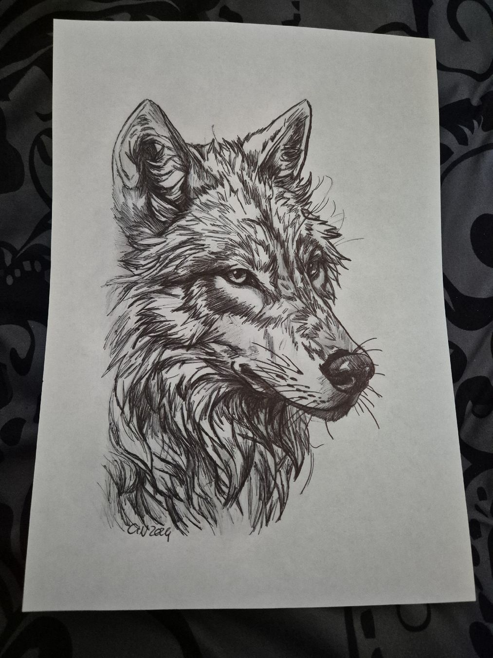 Dipinti: Loup - Dessin au stylo et crayon  – Nuovo (secondo la descrizione) da Fleurier venduto da cin_7qkd