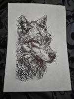 Loup - Dessin au stylo et crayon 