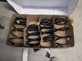 Feder Set für VW T6.1 - gebraucht