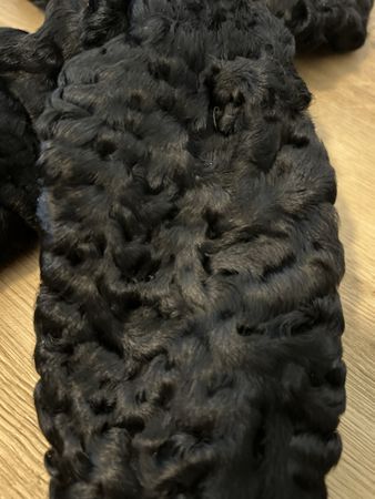 Vintage Walleser Basel Lambswool Fur Collar - Black 53