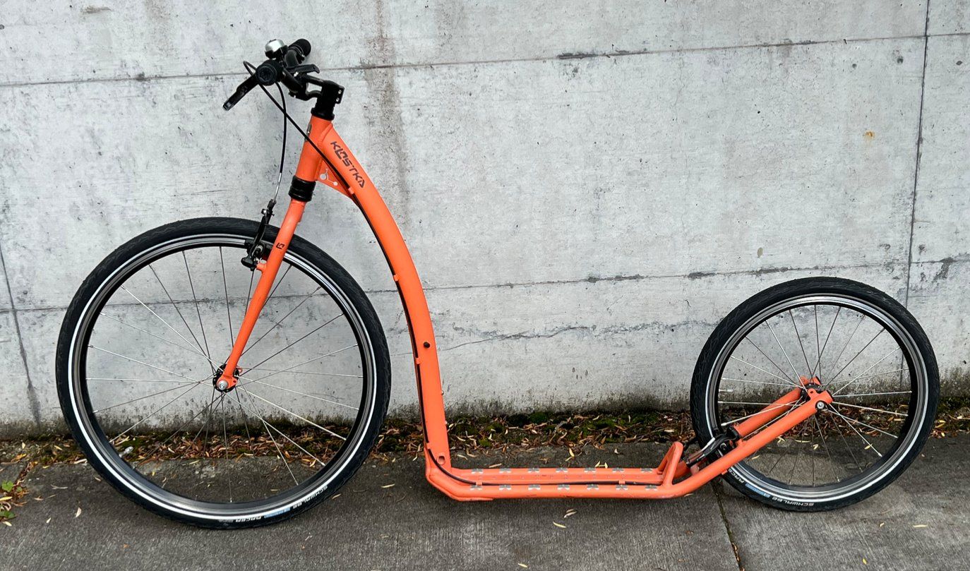 Kickboard: Kostka DogScooter – Usato da Frauenfeld venduto da LP_BUNKER