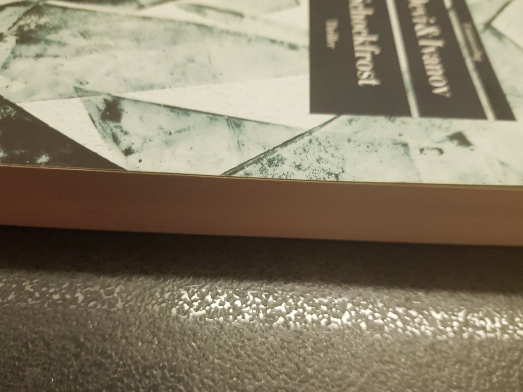 Libri: Schockfrost / Devi & Ivanov / Thriller Zürich – Usato da Dietikon venduto da marconi07 2