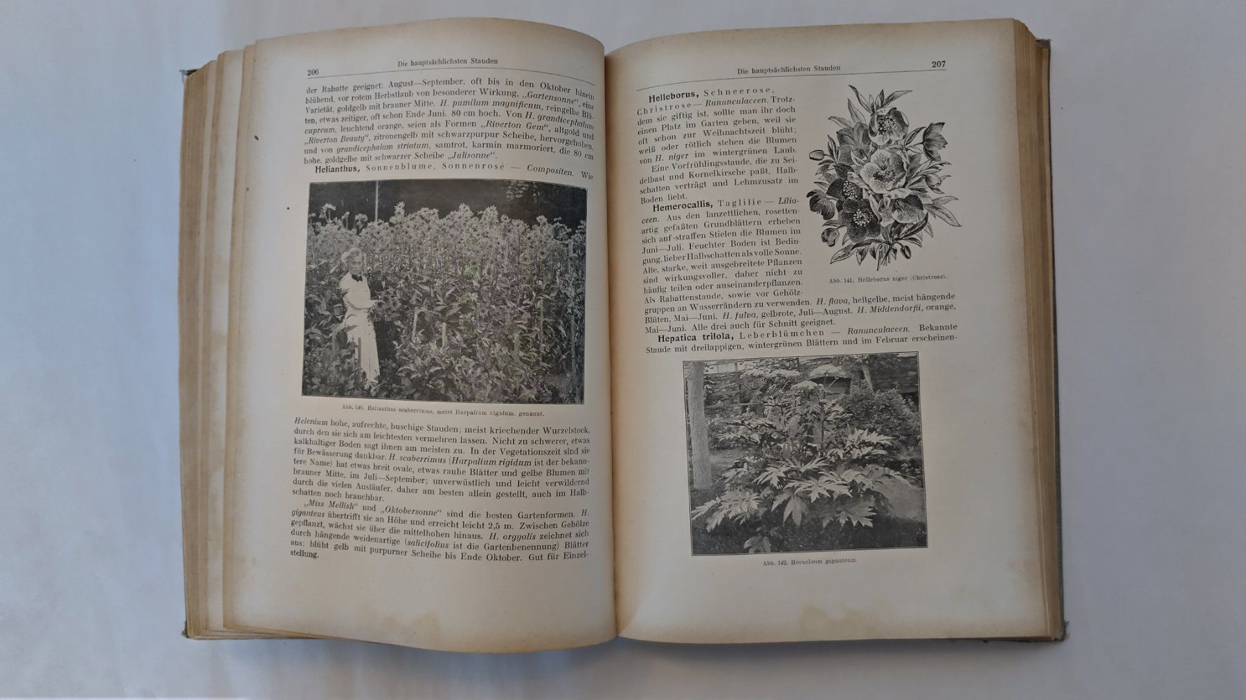 Libri: Allgemeines Gartenbuch 1926 / Gartengestaltung + Topfblumen – Usato da Bellach venduto da JingleJerry 4