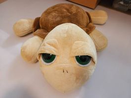 Russ Schildkröte