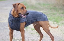 Hundepullover KAY-LINE CLASSY - ANTHRAZIT - 100% Merinowolle